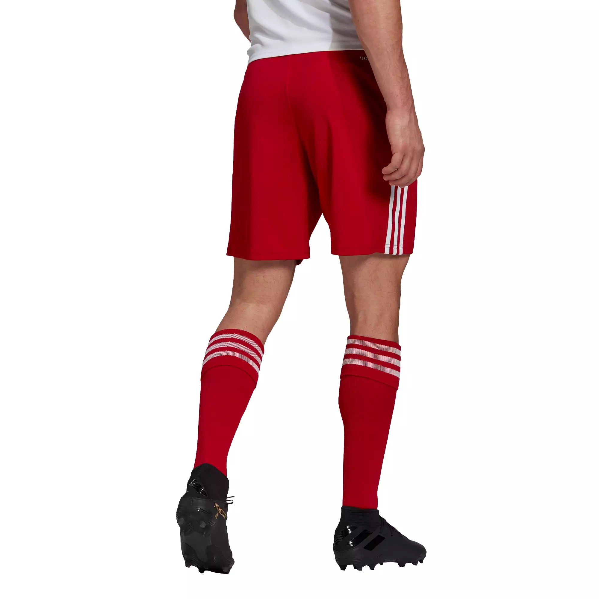 Adidas Adult Squadra 21 Shorts (Red/White)