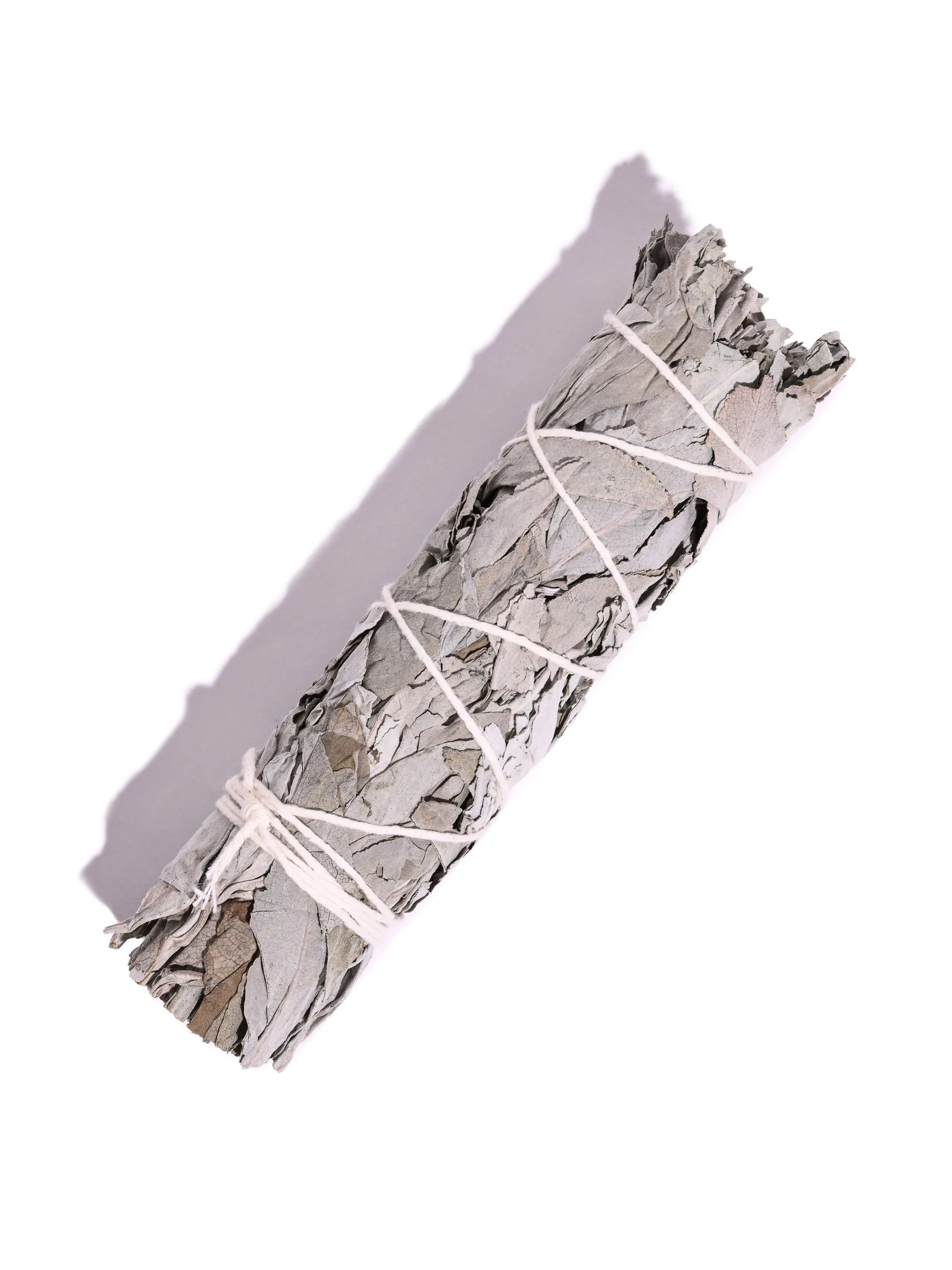 White Sage Farm Grown Smudge Sticks - 7 in