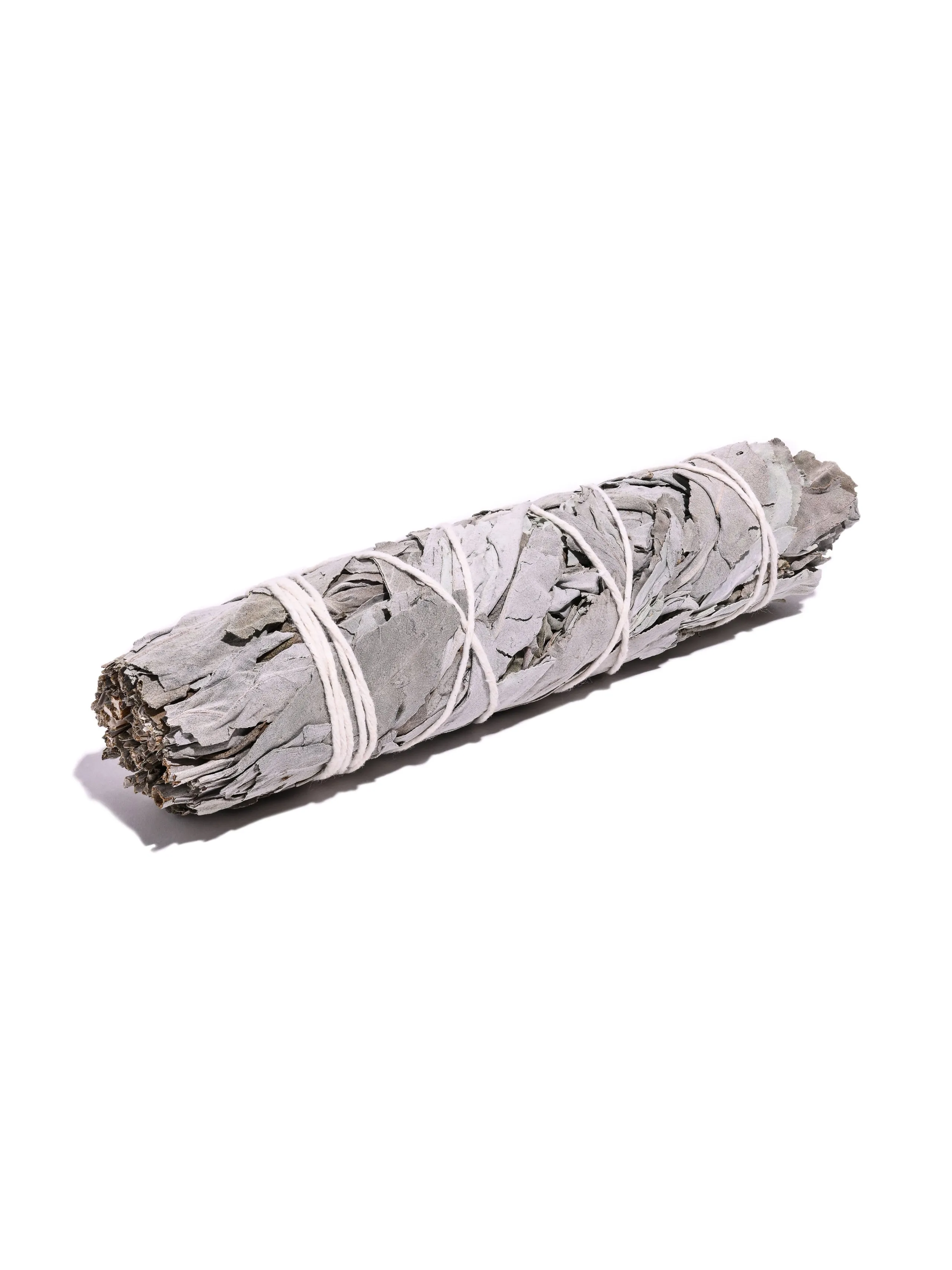 White Sage Farm Grown Smudge Sticks - 7 in